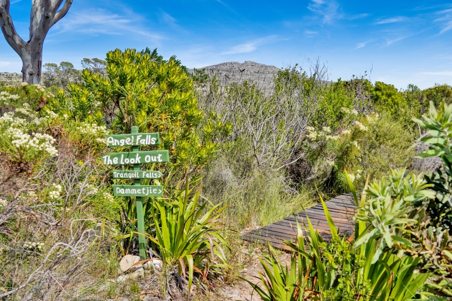3 Bedroom Property for Sale in Scarborough Western Cape